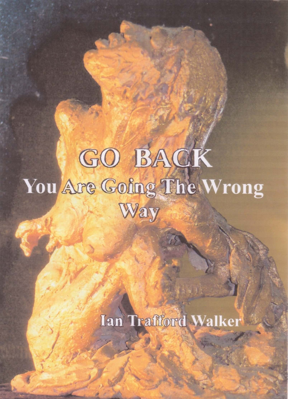 Go Back You Are Going The Wrong Way eBook Cover