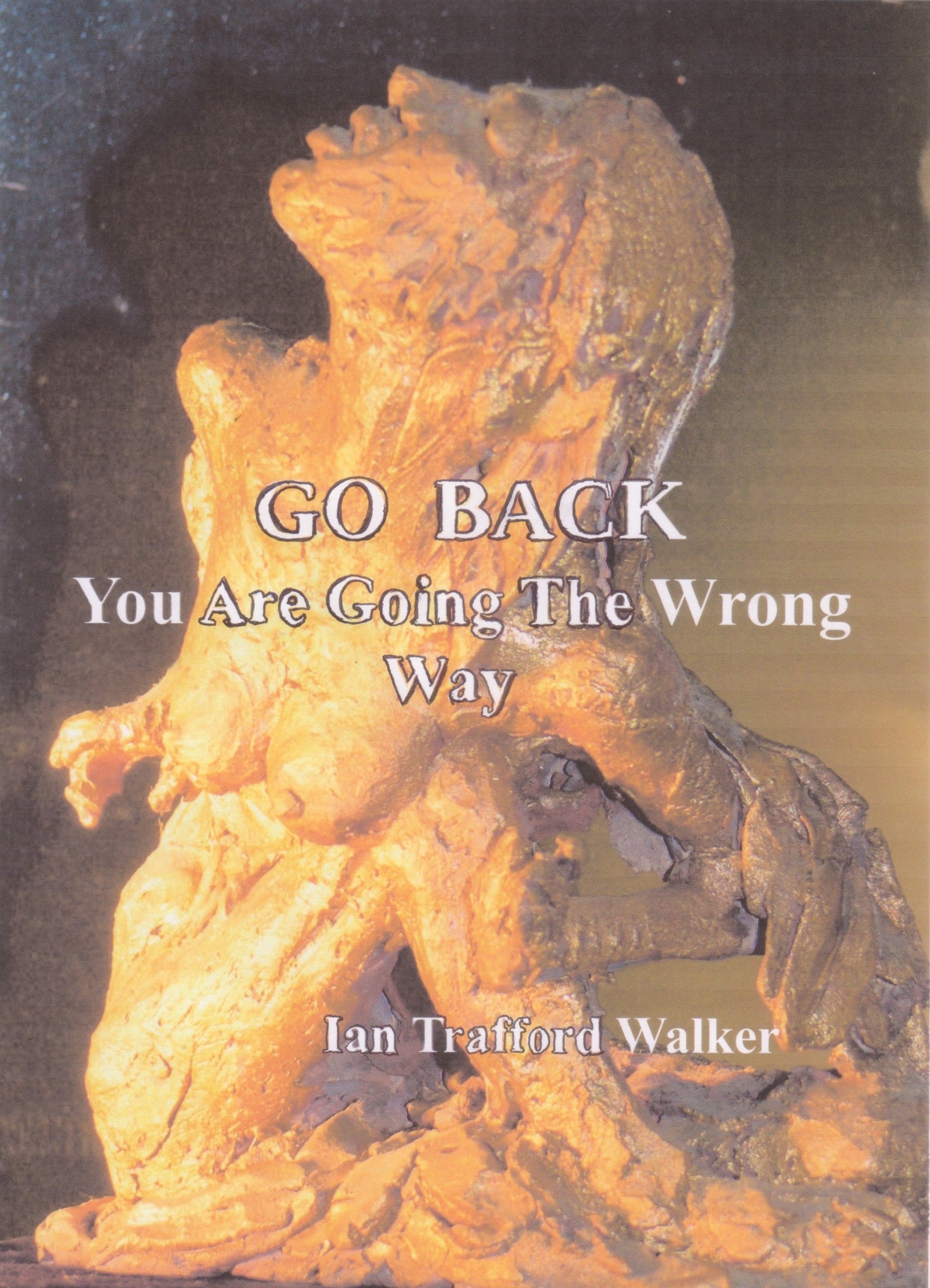 Go Back, You Are Going The Wrong Way