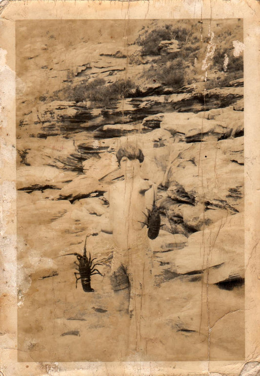 Vintage sepia-toned photograph or print depicting rocky desert cliffs with small dark insect-like silhouettes near the lower left and center, surrounded by aged tan paper borders and visible wear, scratches, and discoloration.

