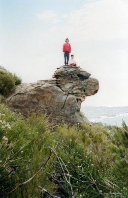 Two people standing on a large rock formation outdoors, surrounded by green shrubs and grass under a pale sky.

